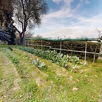 Primavera Sea View