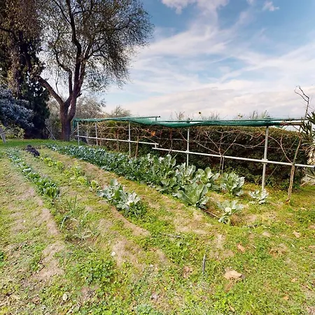 Primavera Sea View